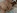 Baise gentille entre tudiants coquins