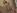 Baise gentille entre tudiants coquins