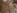 Une Etudiante russe se fait baiser sa chatte ras�e