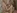Une Etudiante russe se fait baiser sa chatte ras�e