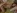 Film porno amateur pour une �tudiante timide