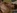 Film porno amateur pour une �tudiante timide