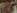 Baise trs soft en couple amateur