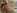 Sodomie et anus dilat pour une blonde  la chatte qui pend