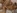 Un couple d'tudiants qui se fait filmer pour faire un porno