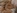 Un couple d'tudiants qui se fait filmer pour faire un porno
