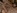 Jeune etudiante d�fonc�e dans sa chambre d'universit�