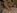 Jeune etudiante d�fonc�e dans sa chambre d'universit�