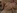 Jeune etudiante blonde � la chatte ras�e se fait baiser dans sa chambre