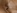 Jeune etudiante blonde � la chatte ras�e se fait baiser dans sa chambre