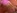 Du sperme pour une teen blonde  gros seins