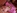 Du sperme pour une teen blonde  gros seins