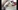 le casting X de Hirano, japonaise � la chatte poilue