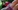 film X avec une brune � grosse chatte et gros seins prise en anal
