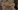 le Film X d'une d�butante qui tente l'anal et l'�jaculation faciale