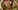 Le porno d'une �tudiante bais�e en anal dans sa chambre