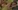 Film porno amateur pour une �tudiante timide