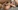 Sodo et sextoys pour une jolie blonde