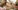 Un couple amateur se fait filmer - 100% sodomie ou presque.